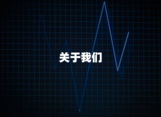专业团队