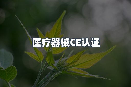 口罩防护类系列CE认证
